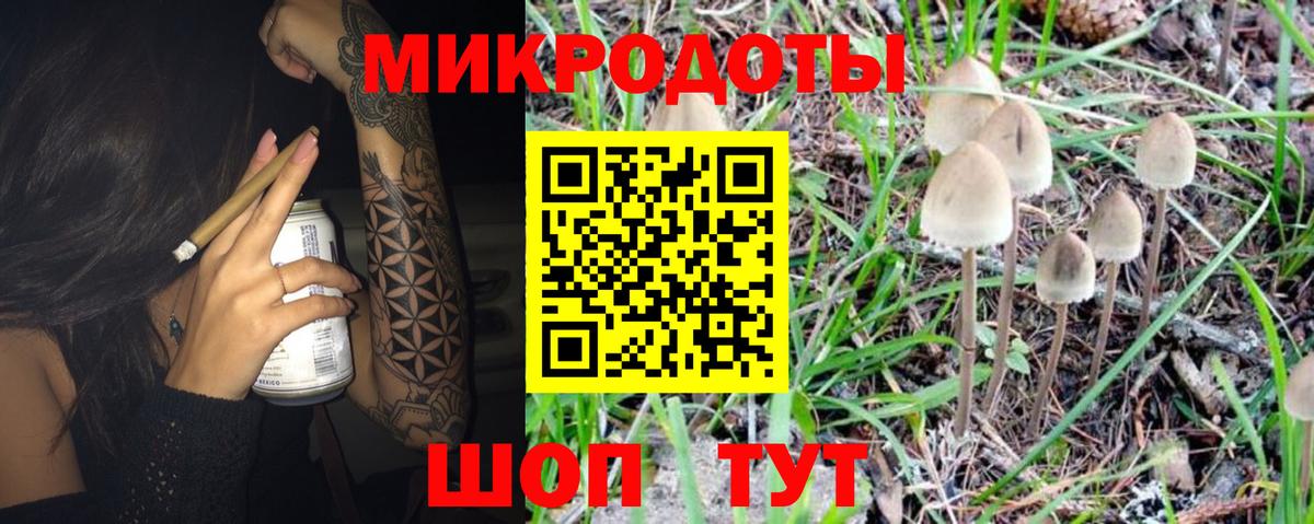 Галлюциногенные грибы Psilocybe  купить наркотик  Елизово  Вход с VPN  Псилоцибиновые грибы мухоморы 